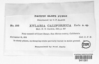 Xylaria californica image